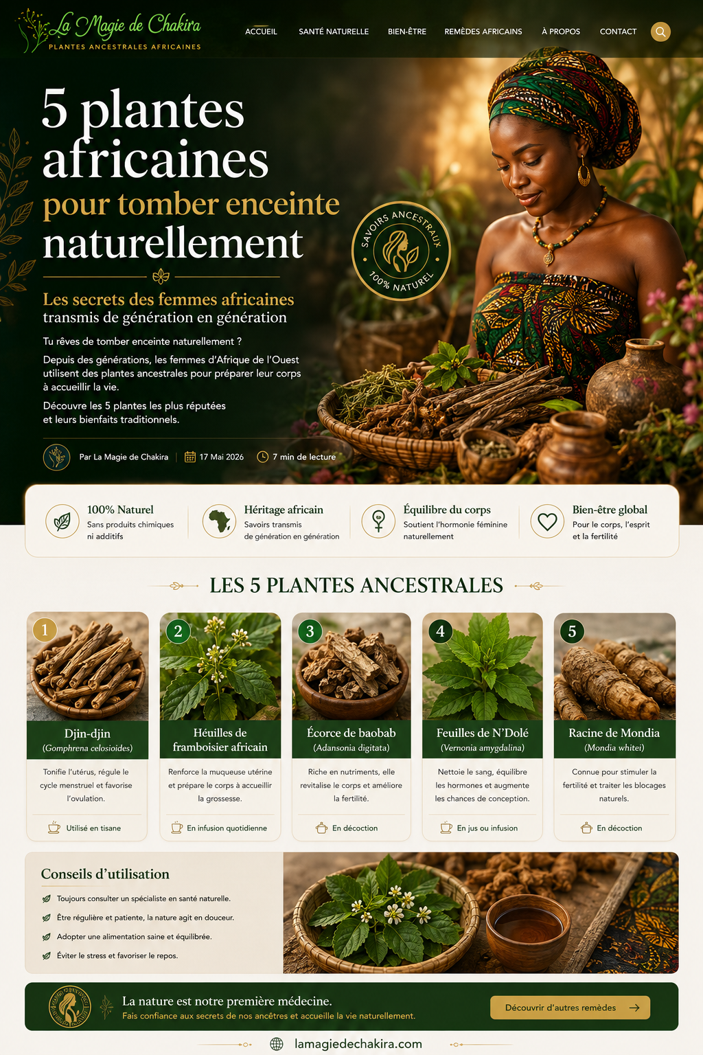 5 plantes africaines pour tomber enceinte naturellement — Les secrets des femmes africaines